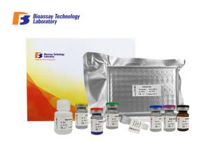 Quality Laboratory Research 96 Wells IGF 1 Bovine ELISA Kits Strong Specificity wholesale