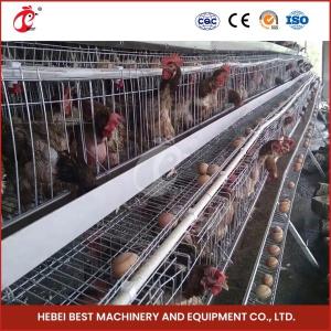Quality A Type Layer Cage System New 96-200 Capacity Battery Raising Equipment Mia wholesale