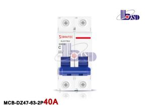 Quality Professional 40 Amp Double Pole Breaker IEC60898 Standard For Socket Outlets wholesale