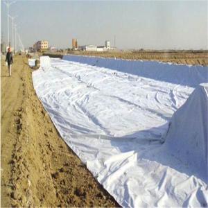 Quality High Strength PP Polypropylene Nonwoven Geotextile Fabric wholesale
