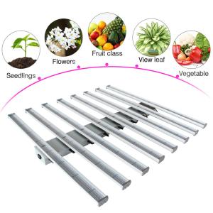 Quality 600W LED Grow Light Plant Growth Lights White Growing Lamps for Indoor Plants Seedling Vegetable and Flower wholesale