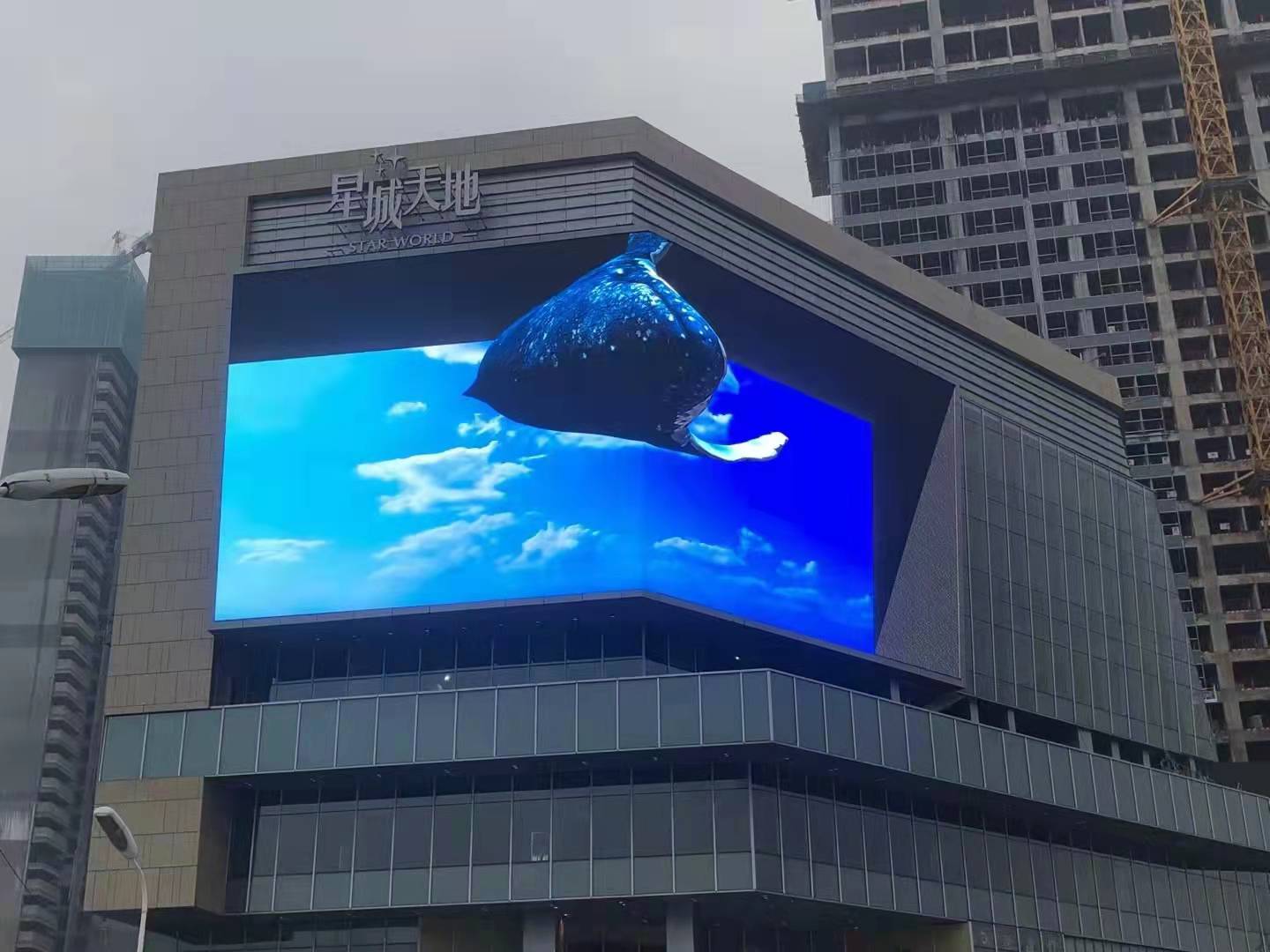 Full Color High Performance LED Digital Signage Display Customizable