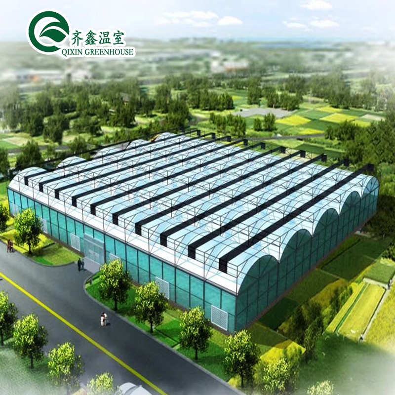 Hydroponic Supplies for Single-Span Greenhouses Cooling Irrigation Ventilation and More