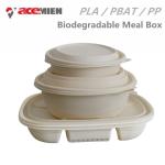 ISO Biodegradable Plastic Lunch Box Making Machine