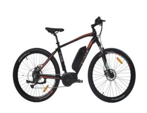 Quality Light Weight Electric Assist Mountain Bike 8 Fun Mid Drive Motor 5 Assist Level wholesale
