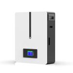 Home Solar Energy Storage Lithium Ion Battery 48V 100AH Wall Mounted