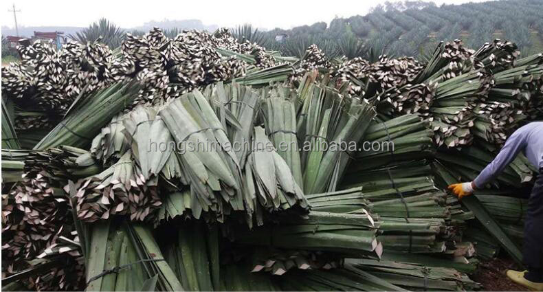 High Quality Banana Tree Stem Fiber Decorticating Machine Easy To Use