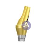 Osstem GS(TS)® Dental Implant Titanium Angled Abutment Mini / Regular -- 17°/30°