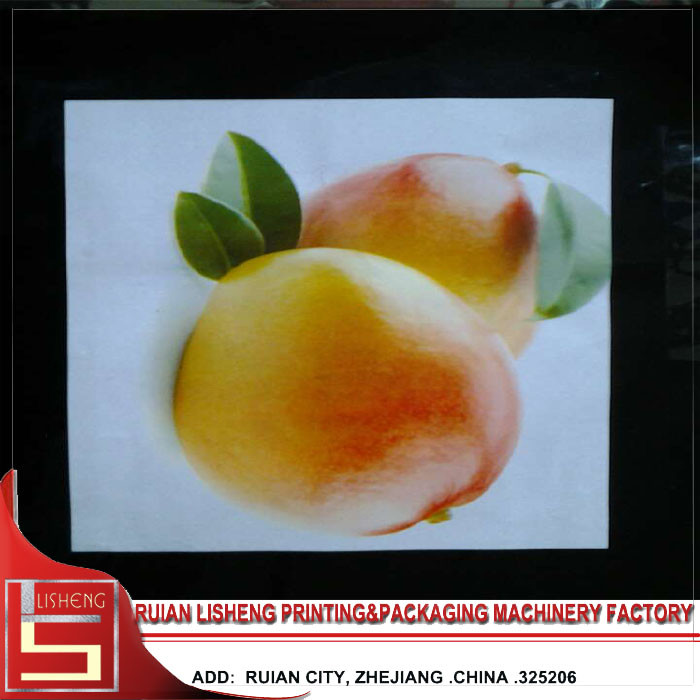 OPP / BOPP / PP Plastic Film Gravure Printing Machine with CE Certificate
