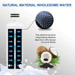LT1000P Natural Coconut Activated Carbon Refrigerator Water Filters Manual Power
