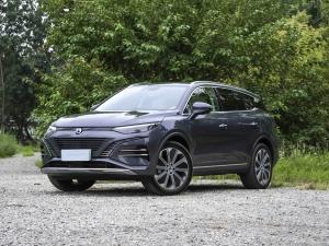 Quality Denza N8 Dm Long Range Ev Car 176km Awd 4wd 2024 Tengshi Vehicle Electric Car wholesale