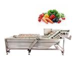 Areca Nut Portable Washing Machine Handy Outdoor Indian