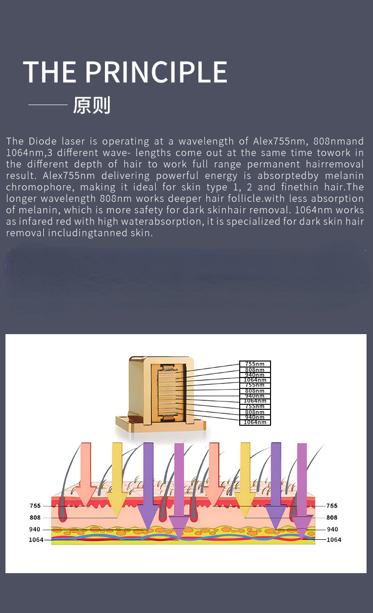 Stationary Vertical Painless Hair Removal Machine 600W Salon Hair Removal Equipment