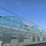 Large Scale Farming Greenhouse Multi Span Hydroponic Growing System at