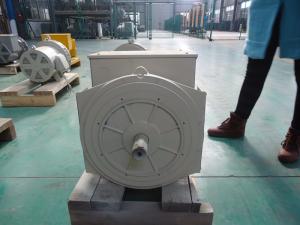 Quality 110V ~ 690V Synchronous Brushless Double Bearing Alternator 40kw / 50kva wholesale