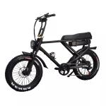 Fat Tyre Electric Bike Snow Beach Fast Speed Customized Electric Bicycle 2 Seats