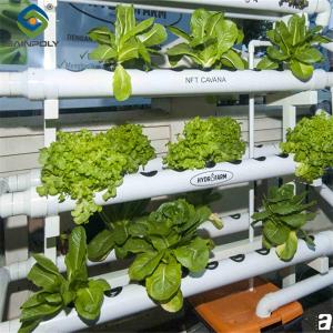 Quality High Yield Agricultural Lettuce Greenhouse With Intelligent Control System wholesale