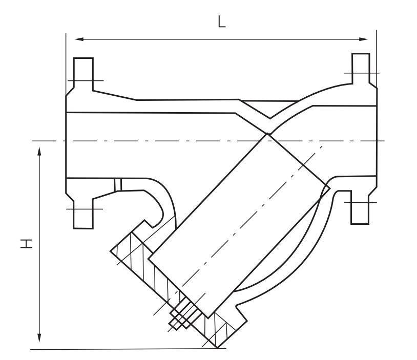 ANSI 300lb Y Type Flange Stainless Steel Filter SS304