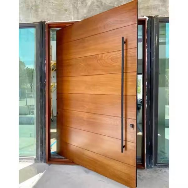 Commercial Clear Glass Front Pivot Iron Door with Steel and Aluminum Graphic