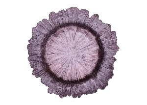 Quality Irregular Edge Flower Electroplated Round Glass Plates 13 Inch wholesale
