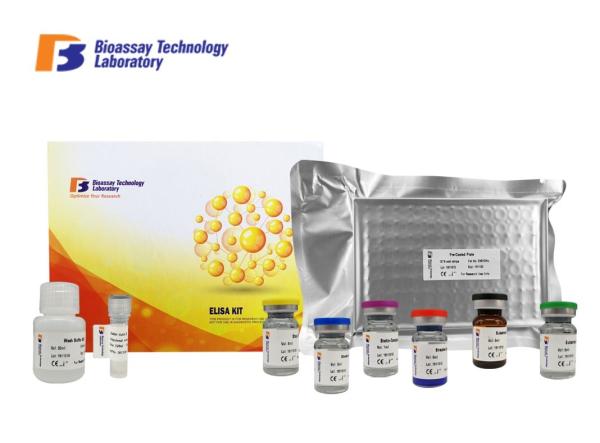 VACHT Elisa Immunoassay Kit / Vesicular Acetylcholine Transporter Elisa Sandwich