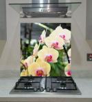 Logo Customized Logo 6mm Ultra Clear Glass Kitchen Splashbacks with Digital