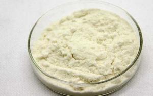 Quality 100% Natural Lyophilized Royal Jelly Powder For Health Care wholesale