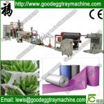 EPE Foam Sheet Extruder Machine（FCFPM-150)