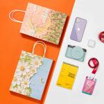 Silk Belt Custom Printed Kraft Paper Bag Gift Paper Bag Shopping Packaging