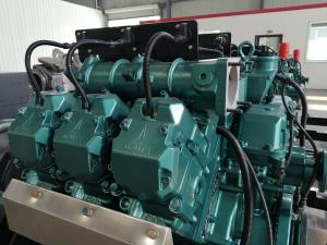 Quality 260V 50Hz Biogas Generators Natural Gas 280KW Generator wholesale
