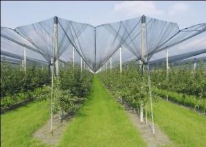 Quality Agriculture Anti Hail Nets wholesale