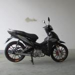 6.5KW Front Disc Brake TR135-NG Cub Motorcycle