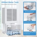 Removable Water Tank Portable Domestic Dehumidifier