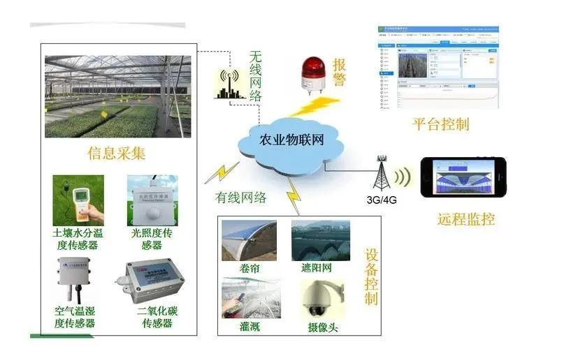 Multi-Span Tunnel Vegetable Production Greenhouse