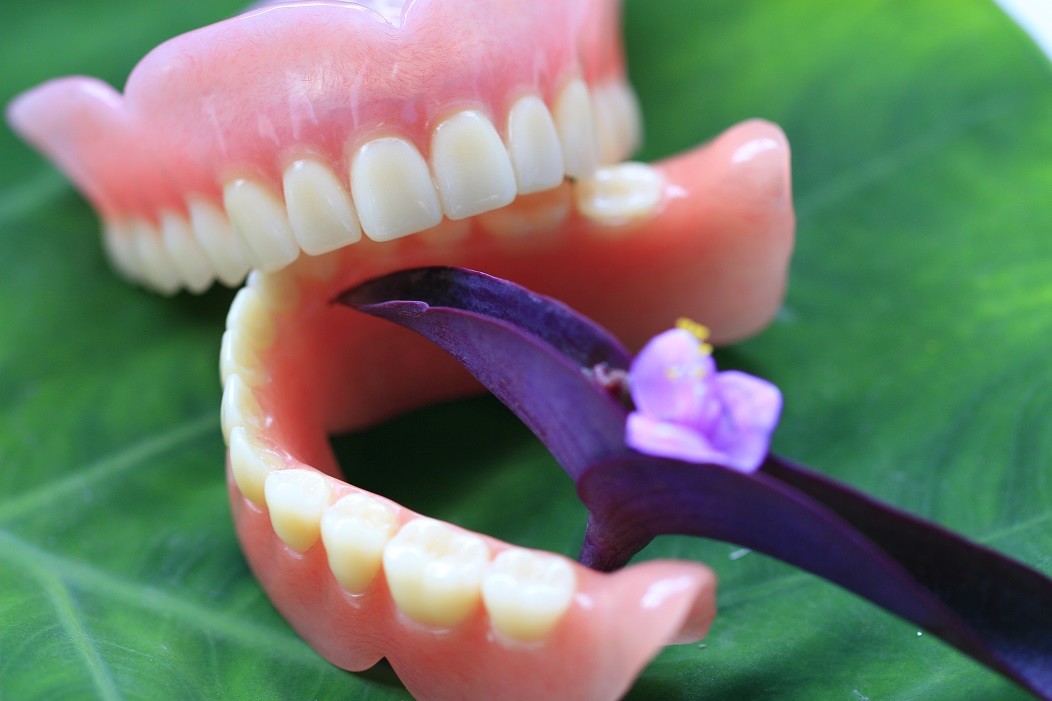 Complete Denture Permanent Esthetics Acrylic Partial Denture