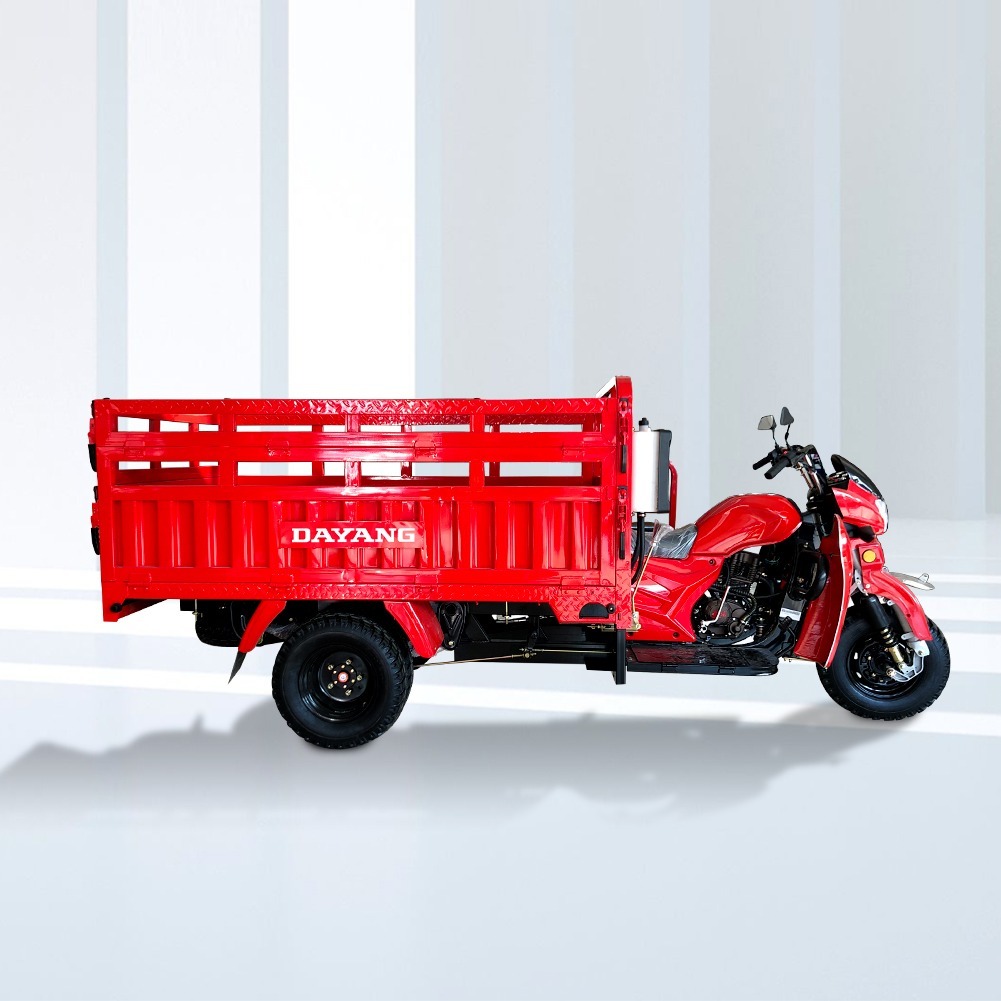800W DAYANG Heavy Loading Truck Tricycle Three Wheel Cargo Motorized 201 250cc CCC ISO9000 Hydraulic Water Cooled 5.0-12