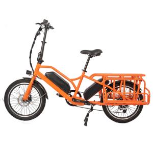 Quality Family Delivery E-cargo Two Battery Max Loading Family E Bicycle Electric Bike With Basket wholesale