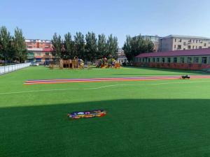 Quality Safe Non Infilling Sports Artificial Grass For Indoor Soccer Court wholesale