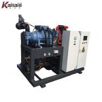 Chinese Manufacturer/Factory Price/ Low Temperature Single Screw Compressor