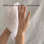 Single Pack Wet Antiseptic Airline Wet Towel