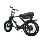 Removable Battery Full Suspension 1000W Electric Fat Bike with Lithium Power