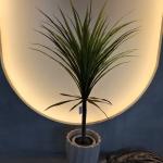 Hypoallergenic Realistic Green Plastic Faux Plant for Indoor/Outdoor Use