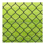 Heat Treated Pressure Treated Wood Farm Chain Link Fence Netting with Pvc Coated