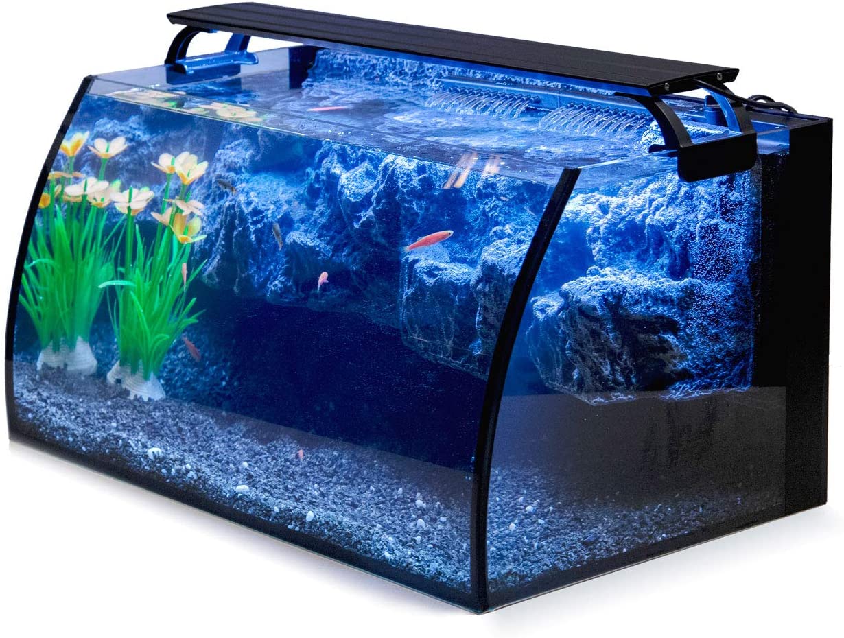 Glass 8 Gallon Small Saltwater Tank