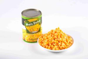 Quality Steamed Processing Type Can Whole Kernel Corn Crisp Sweet Corn Tinned Food wholesale