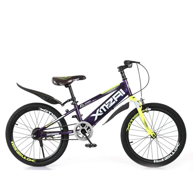 20 Inch Mountain Bike Equipped with Shock-Absorbing Front Fork and 25T High Knife Rim
