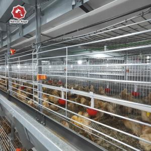 Quality Q235A Baby Broilers Chicken Cage 100*100*220cm Fully Automatic wholesale
