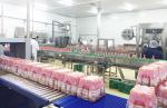 Fully Automatic Fruit Juice Manufacturing Plant Stainless Steel Material