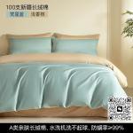 Light Luxury Pure Cotton Four Piece Bedding Sheet Set
