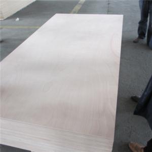 Quality Llyods Certificate Phenolic WBP Glue 16mm Marine Okoume Plywood wholesale